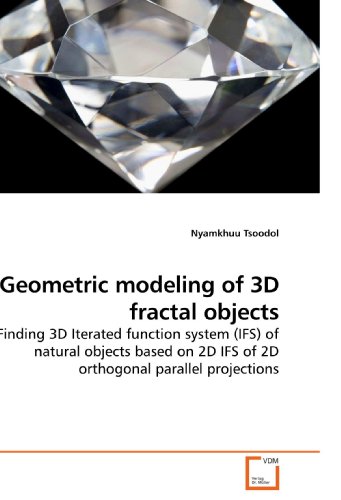 Geometric modeling of 3D fractal objects: Finding 3D Iterated function system (IFS) of natural objects based on 2D IFS of 2D orthogonal parallel projections