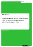 Phytoremediation in reed plants treat and clean up polluted environment by petroleum produced water