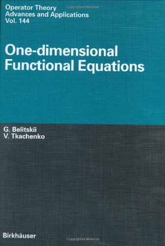 One-dimensional Functional Equations (Operator Theory: Advances and Applications)