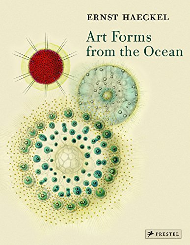 Book Cover Art Forms from the Ocean: The Radiolarian Prints of Ernst Haeckel