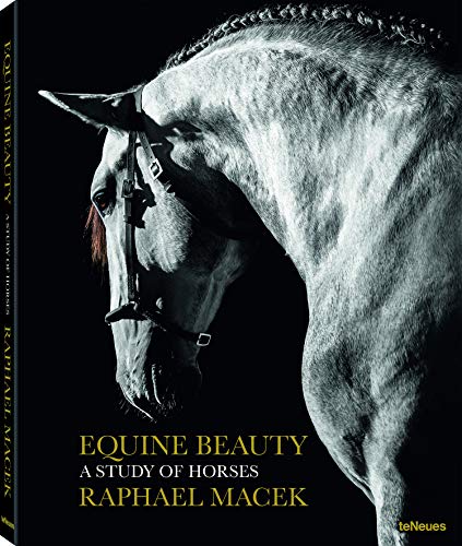 Book Cover Equine Beauty: A Study of Horses