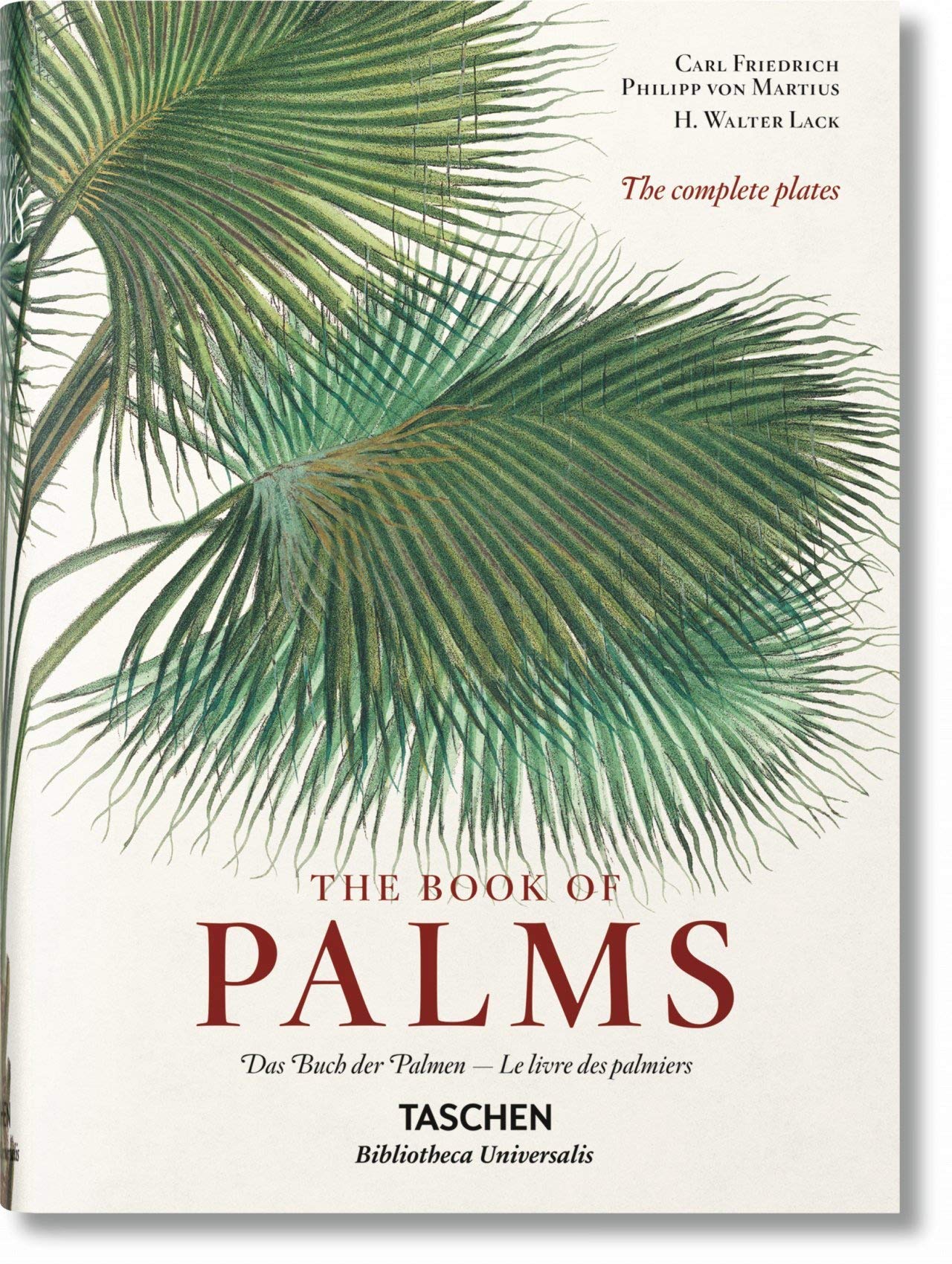Book Cover Martius. The Book of Palms