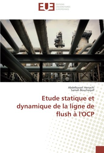 Book Cover Etude statique et dynamique de la ligne de flush à l'OCP (French Edition)