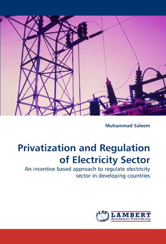 Privatization and Regulation of Electricity Sector: An incentive based approach to regulate electricity sector in developing countries