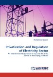 Privatization and Regulation of Electricity Sector: An incentive based approach to regulate electricity sector in developing countries