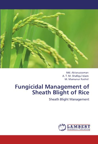 Fungicidal Management of Sheath Blight of Rice: Sheath Blight Management