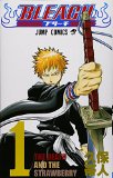 Bleach, Volume 1 (Japanese Edition)