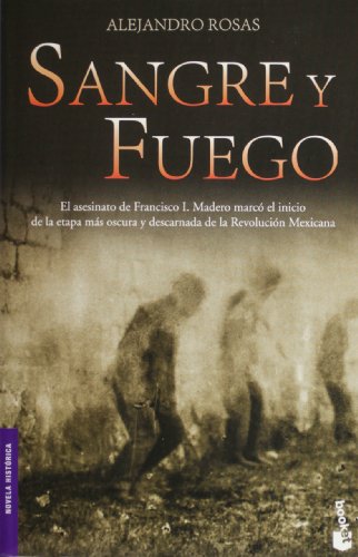Sangre y fuego (Spanish Edition)