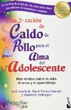 UNA 2ª RACIÓN DE CALDO DE POLLO PARA EL ALMA DEL ADOLESCENTE