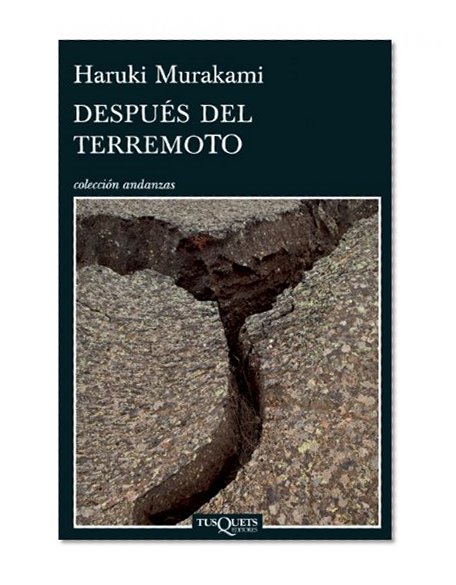 Después del terremoto (Coleccion Andanzas) (Spanish Edition)