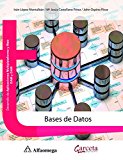 Bases De Datos - Desarrollo De Aplicaciones Multiplataforma Y Web DAM Y DAW (Spanish Edition)
