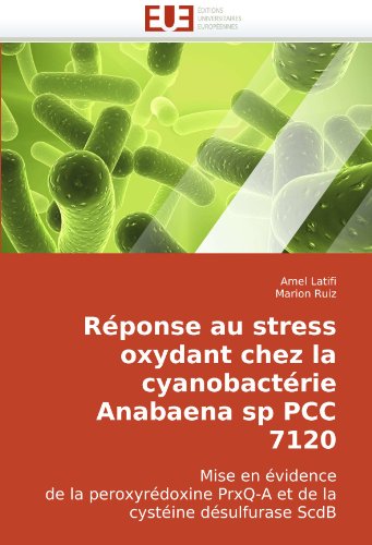 RÃ©ponse au stress oxydant chez la cyanobactÃ©rie Anabaena sp PCC 7120: Mise en Ã©vidence de la peroxyrÃ©doxine PrxQ-A et de la cystÃ©ine dÃ©sulfurase ScdB (French Edition)