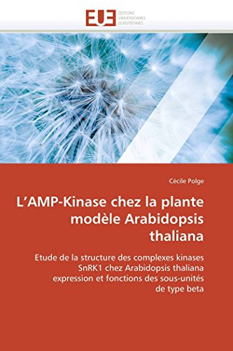 L'AMP-Kinase chez la plante  modÃ¨le Arabidopsis thaliana (French Edition)