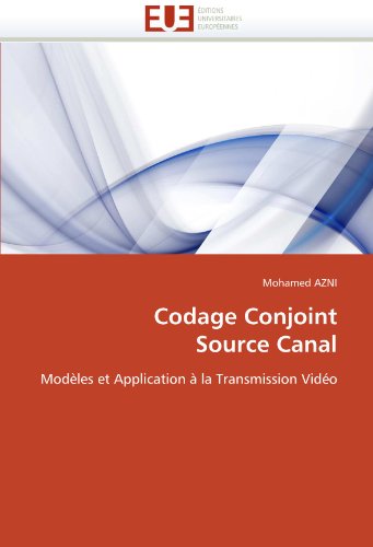 Codage Conjoint Source Canal: ModÃ¨les et Application Ã  la Transmission VidÃ©o (French Edition)