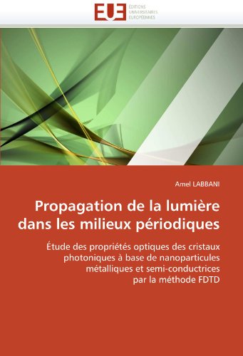 Propagation de la lumière dans les milieux périodiques: Étude des propriétés optiques des cristaux photoniques à base de nanoparticules métalliques et ... par la méthode FDTD (French Edition)