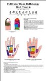 Full Color Hand Reflexology Wall Chart (English-Chinese)