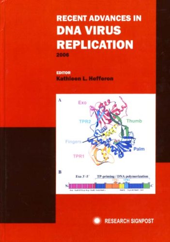 Recent Advances in DNA Virus Replication 2006