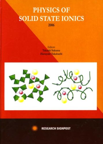 Physics of Solid State Ionics 2006