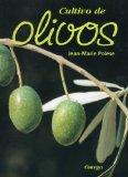 Cultivo de olivos