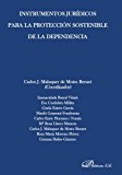 Instrumentos jurídicos para la protección sostenible de la dependencia (Spanish Edition)
