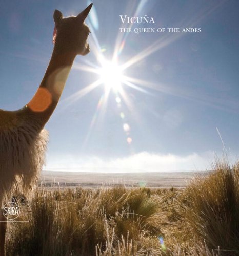 Vicuna: The Queen of the Andes