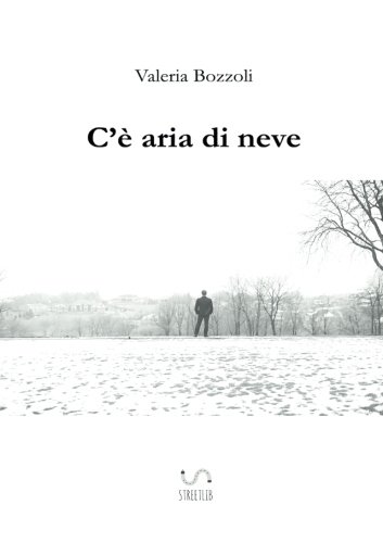 Book Cover C'è aria di neve (Italian Edition)