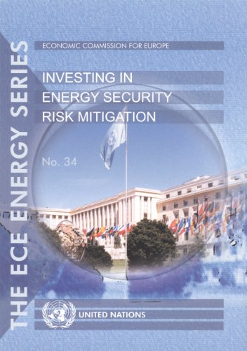 Investing in Energy Security Risk Mitigation (Un/Ece Energy Series)
