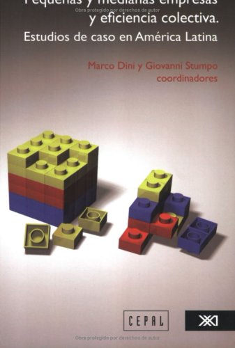 Pequenas y medianas empresas y eficiencia colectiva. Estudios de caso en America Latina (Spanish Edition)