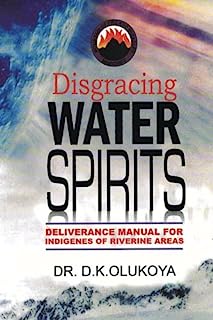 Book Cover Disgracing Water Spirits