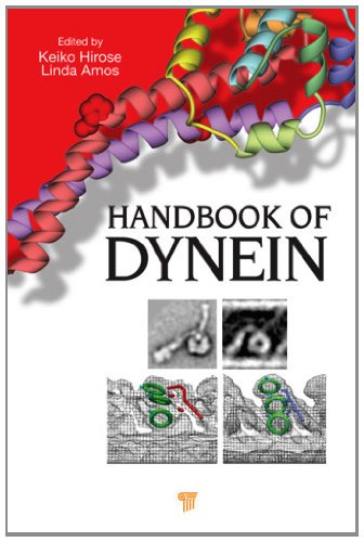 Handbook of Dynein