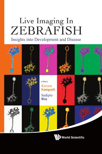Life Imaging in Zebrafish: Insights into Development and Disease