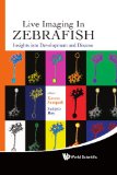 Life Imaging in Zebrafish: Insights into Development and Disease