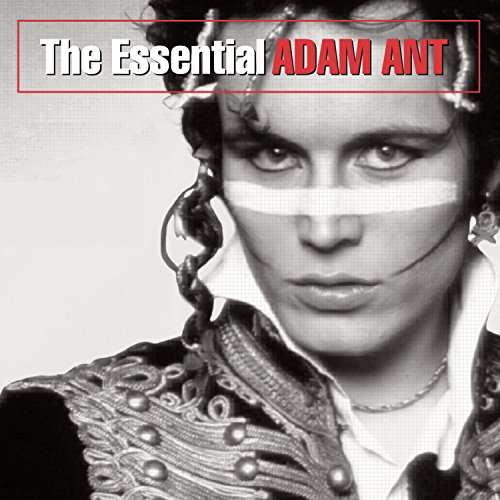 Book Cover The Essential Adam Ant