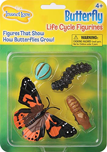 Butterfly Learning Toy - 4 Piece Set Shows Metamorphasis Of A Butterfly