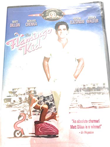The Flamingo Kid