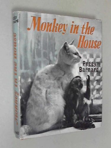Monkey in the House