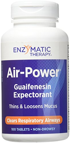 Enzymatic Therapy - Air-Power, 100 tablets [Health and Beauty]
