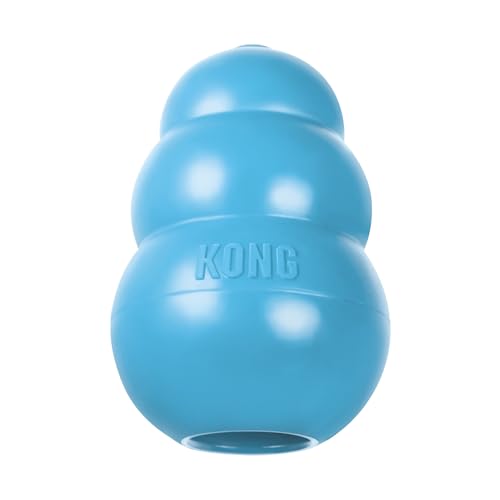 KONG - Puppy Toy Natural Teething Rubber - Fun to Chew, Chase & Fetch Pack of 1 (Colour May Vary) - For Large Puppies