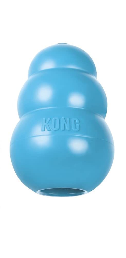 Book Cover KONG - Puppy Toy Natural Teething Rubber - Fun to Chew, Chase and Fetch - For Medium Puppies - Blue Medium Blue