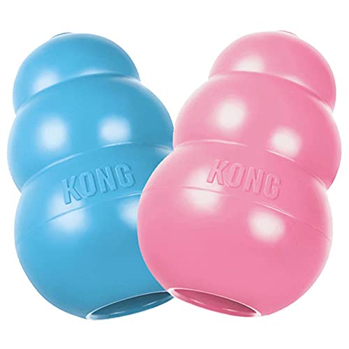KONG - Puppy Toy Natural Teething Rubber - Fun to Chew, Chase and Fetch (Color May Vary) - for Small Puppies
