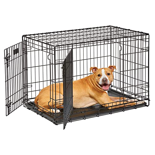 MidWest Life Stages Double-Door Folding Metal Dog Crate, 36 Inches by 24 Inches by 27 Inches