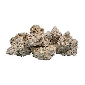 Worldwide Imports AWW0855 Atlantic Coral Rock, 40-Pound