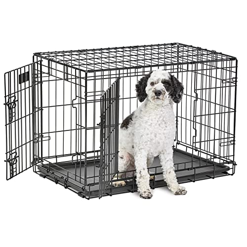 MidWest Homes for Pets Medium Dog Crate | MidWest Life Stages 30' Double Door Folding Metal Dog Crate | Divider Panel, Floor Protecting Feet & Dog Pan | 30.6L x 19.3W x 21.4H Inches, Medium Dog Breed 30-Inch Double Door Dog Crate
