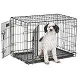 MidWest Homes for Pets 30-Inch LifeStages Crate for Medium Breeds, 21-40 lbs, Double Door Folding Dog Crate with Divider Panel, Leak-Proof Tray & Secure Latch, Heavy-Duty & Easy to Assemble