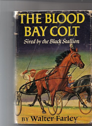 The Blood Bay Colt