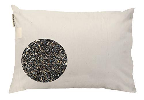 Book Cover Beans72 Organic Buckwheat Pillow - Japanese Size (14 inches x 20 inches)