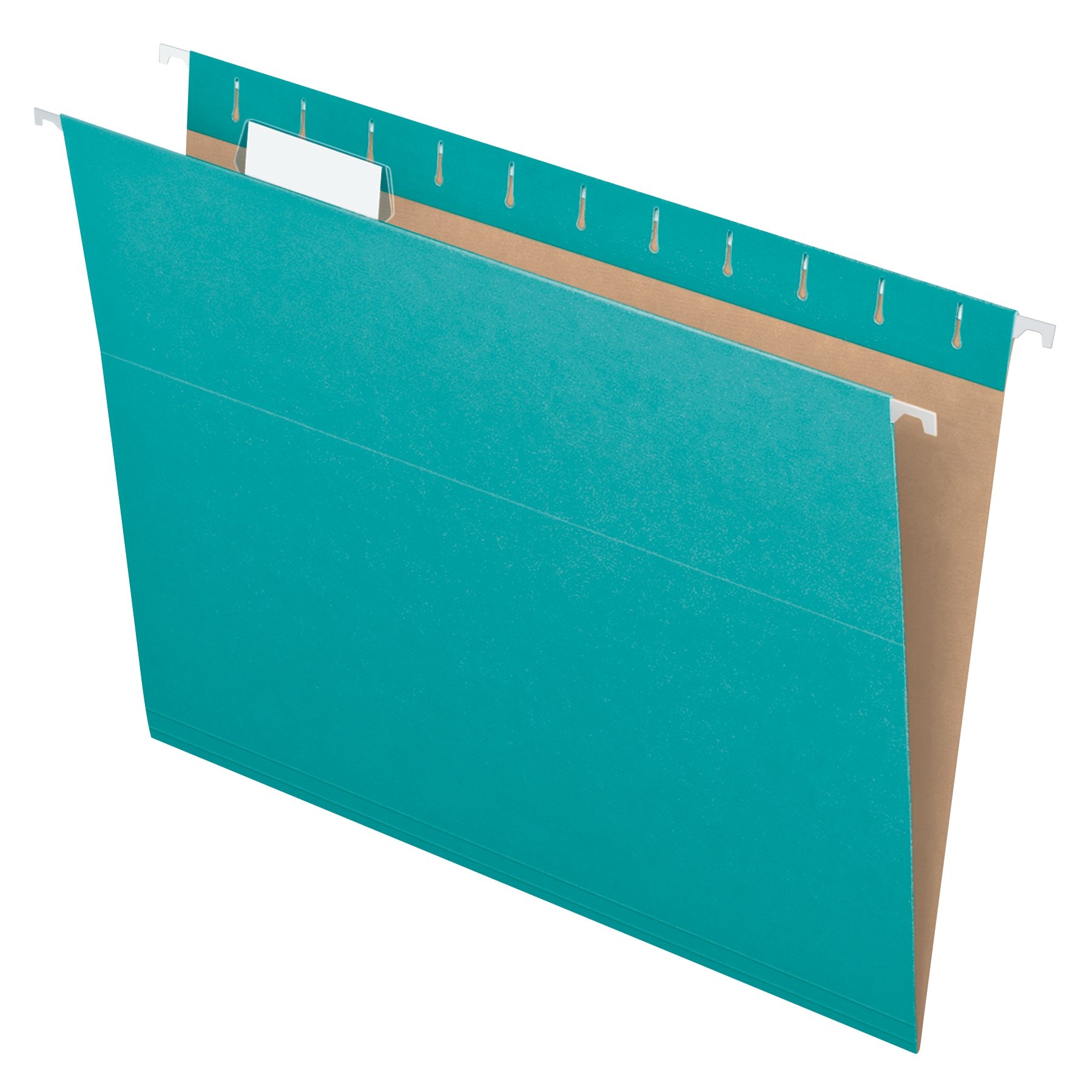 Book Cover Pendaflex Recycled Hanging Folders, Letter Size, Aqua, 1/5 Cut, 25/BX (81616) Aqua Letter Folders