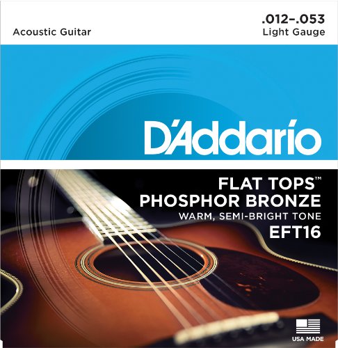 Book Cover D'Addario EFT16 Flat Tops Phosphor Bronze Acoustic Guitar Strings, Light, 12-53