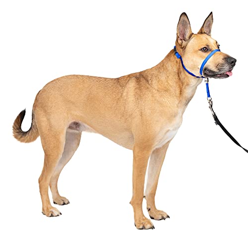 Book Cover PetSafe Gentle Leader No-Pull Dog Headcollar - The Ultimate Solution to Pulling - Redirects Your Dog's Pulling For Easier Walks - Helps You Regain Control - Medium , Royal Blue