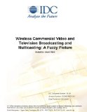 Wireless Commercial Video and Television Broadcasting and Multicasting: A Fuzzy Picture